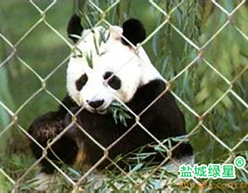 忻州动物园围网